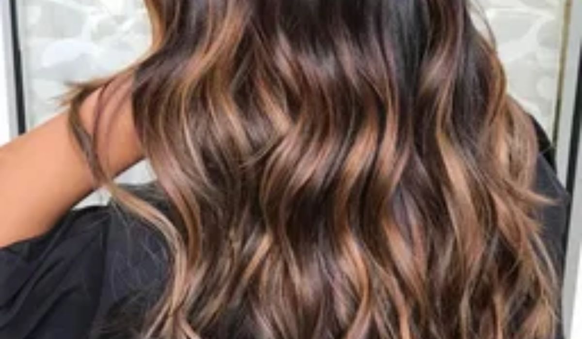 Brown Highlights On Black Hair