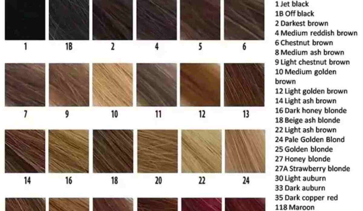 Brown Hair Color Wheel