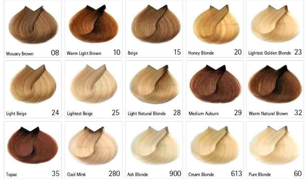 Hair Color Chart