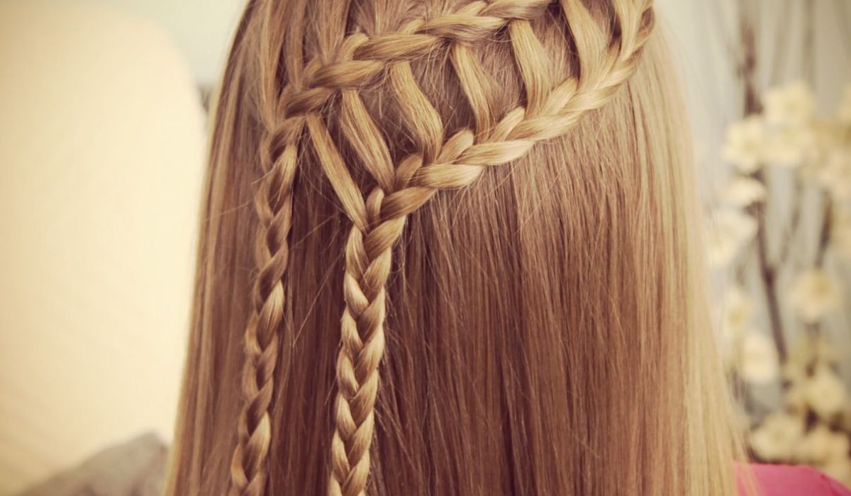 2 Braids Hairstyles