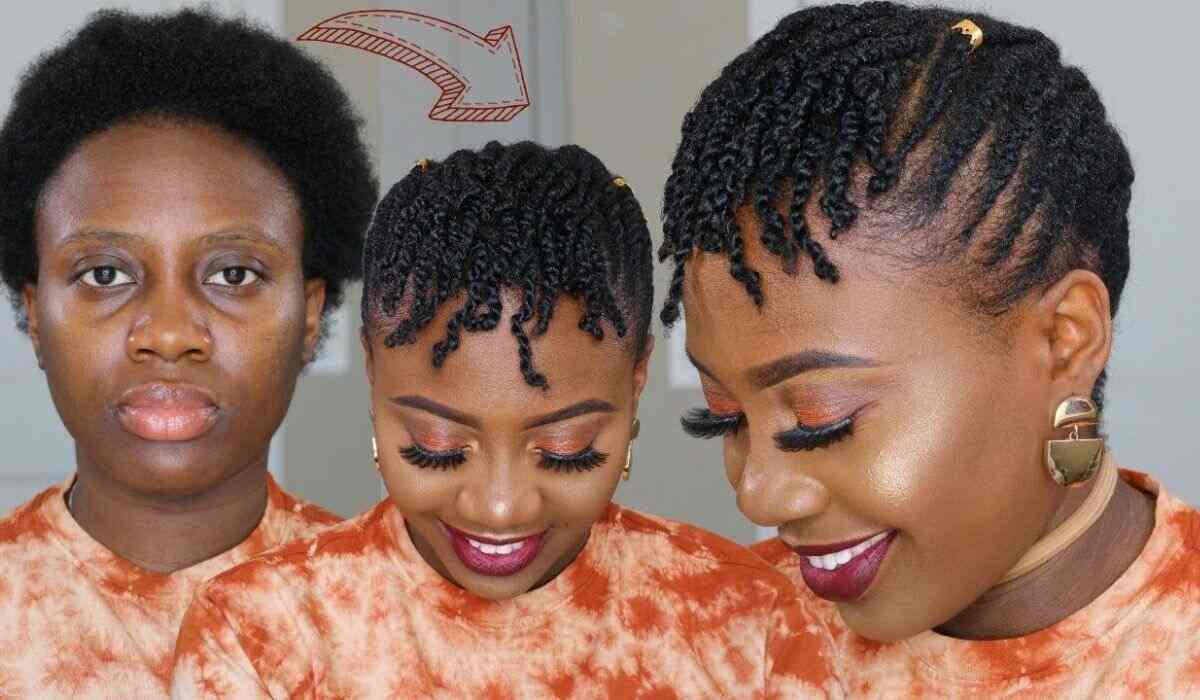 4c Natural Hair Twist Styles