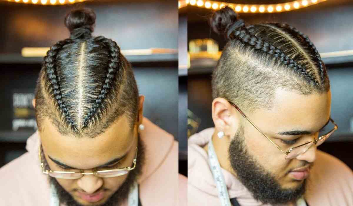 Two Braid Hairstyles Male